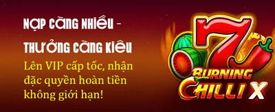 Đăng Ký Ngay Nhận Ưu Đãi